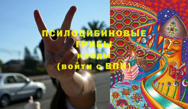 альфа пвп Дмитровск