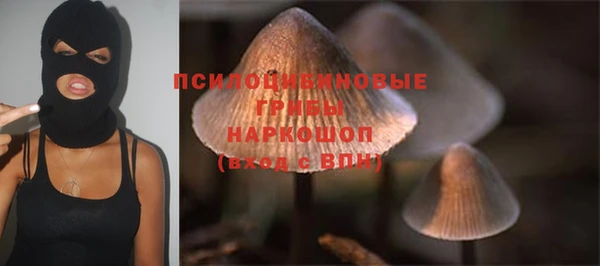 альфа пвп Дмитровск