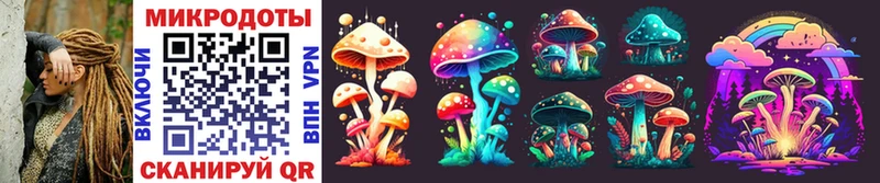 Купить закладки  Тосно  Галлюциногенные грибы Psilocybine cubensis 